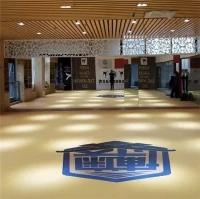 Tappetino XPE per boxe Jodo MMA